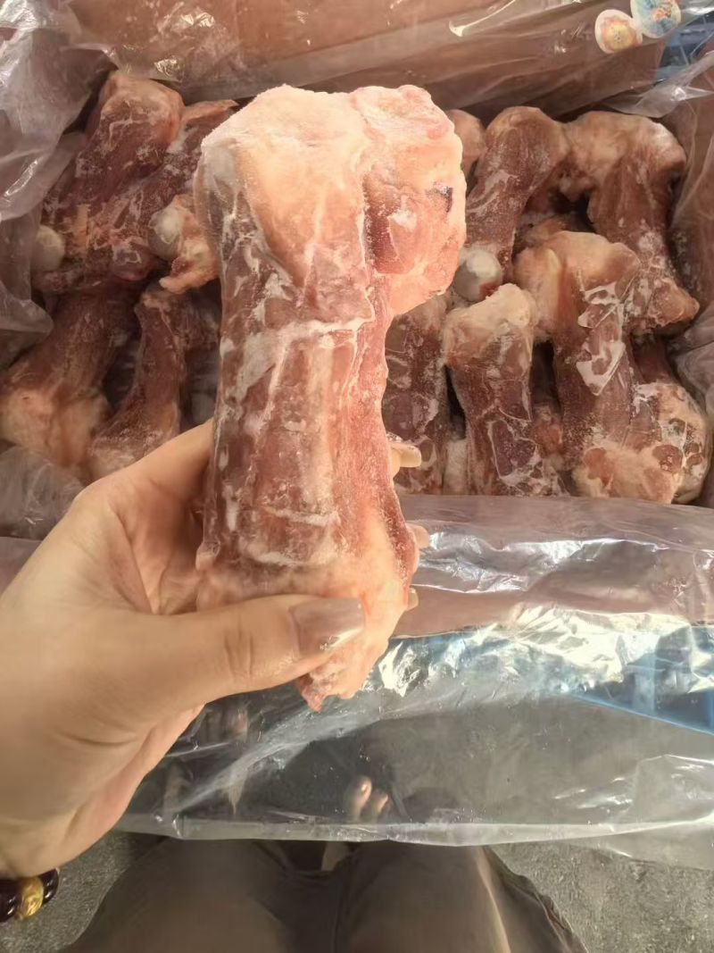 后棒骨
