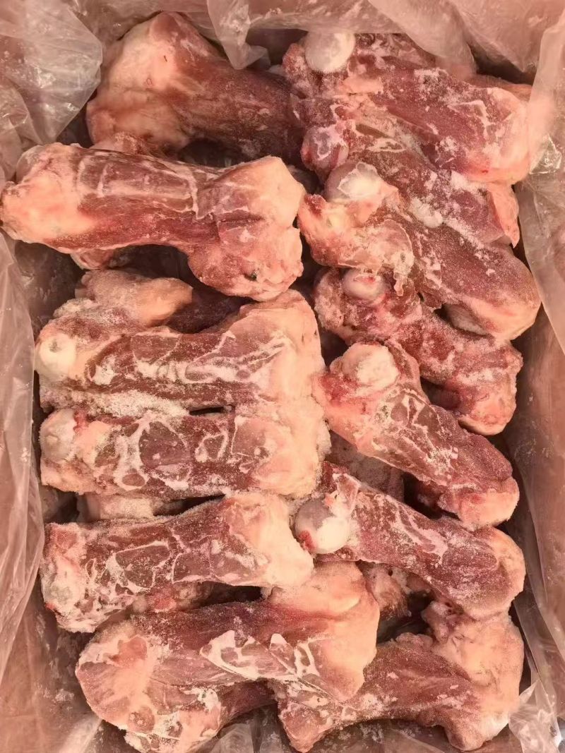 后棒骨