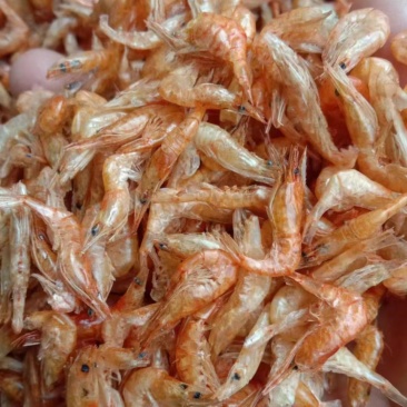 小虾干草虾虾米