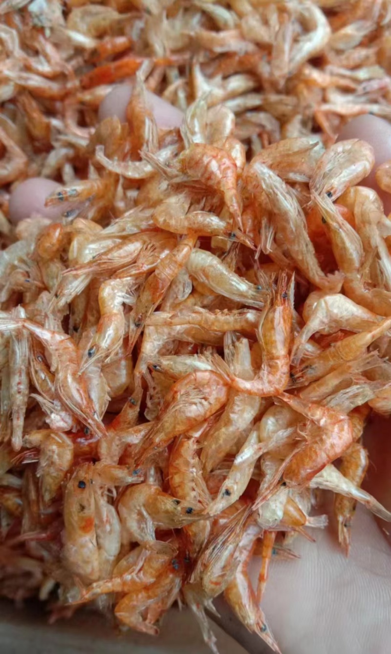 小虾干草虾虾米