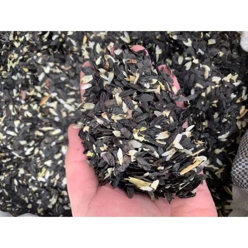 玉簪种子耐寒耐阴多年生玉春棒白鹤花玉泡花白玉簪种孑种花卉