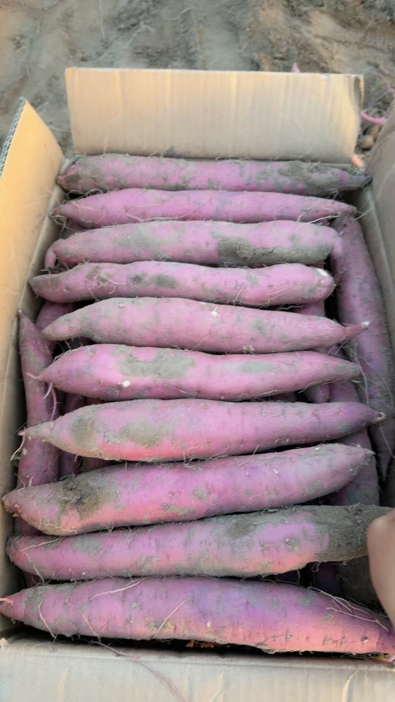 精品西瓜红红薯，产地直发，品质保证，量大从优，欢迎来电