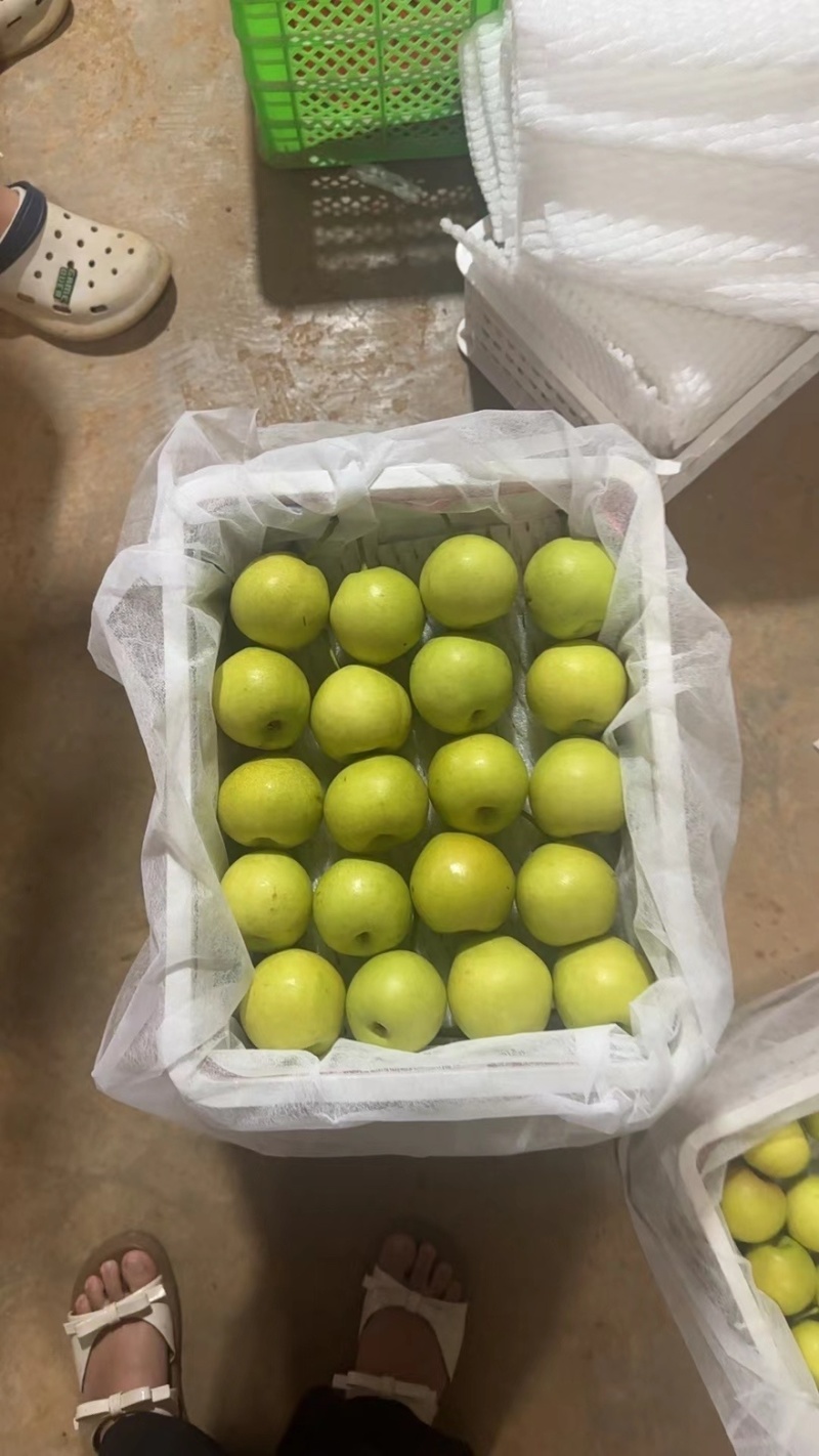 丁香梨、蜂糖梨！纯甜酥脆，多汁细腻！