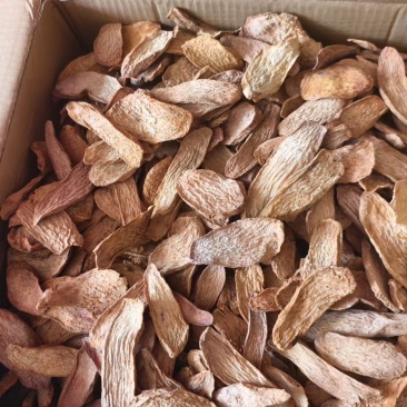 去皮锁阳片
