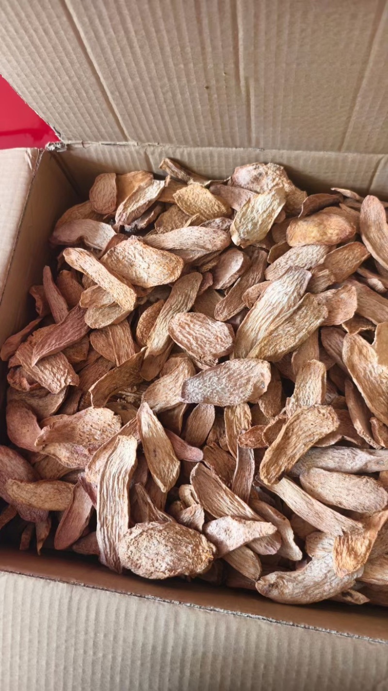 去皮锁阳片