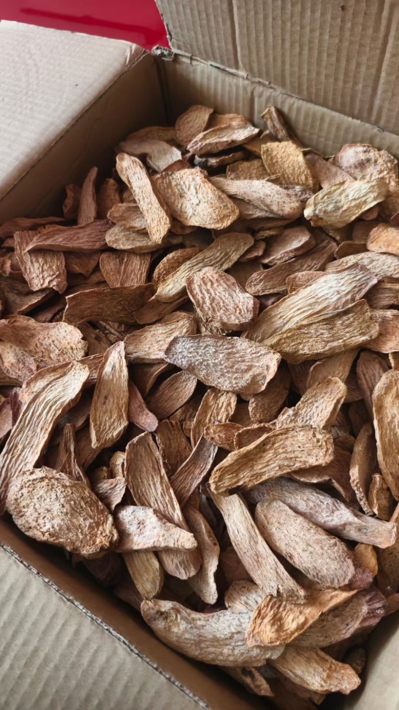去皮锁阳片