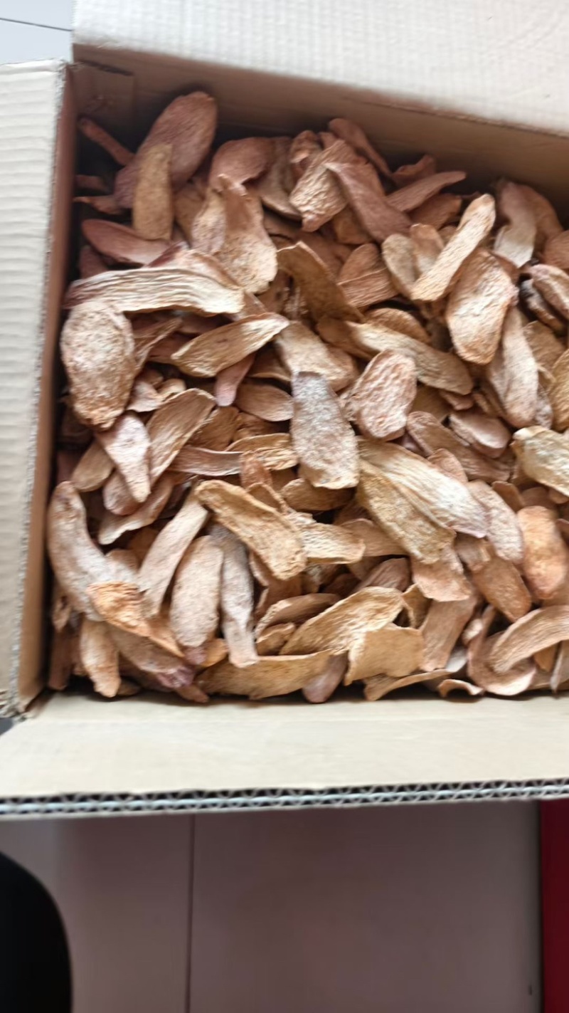 去皮锁阳片
