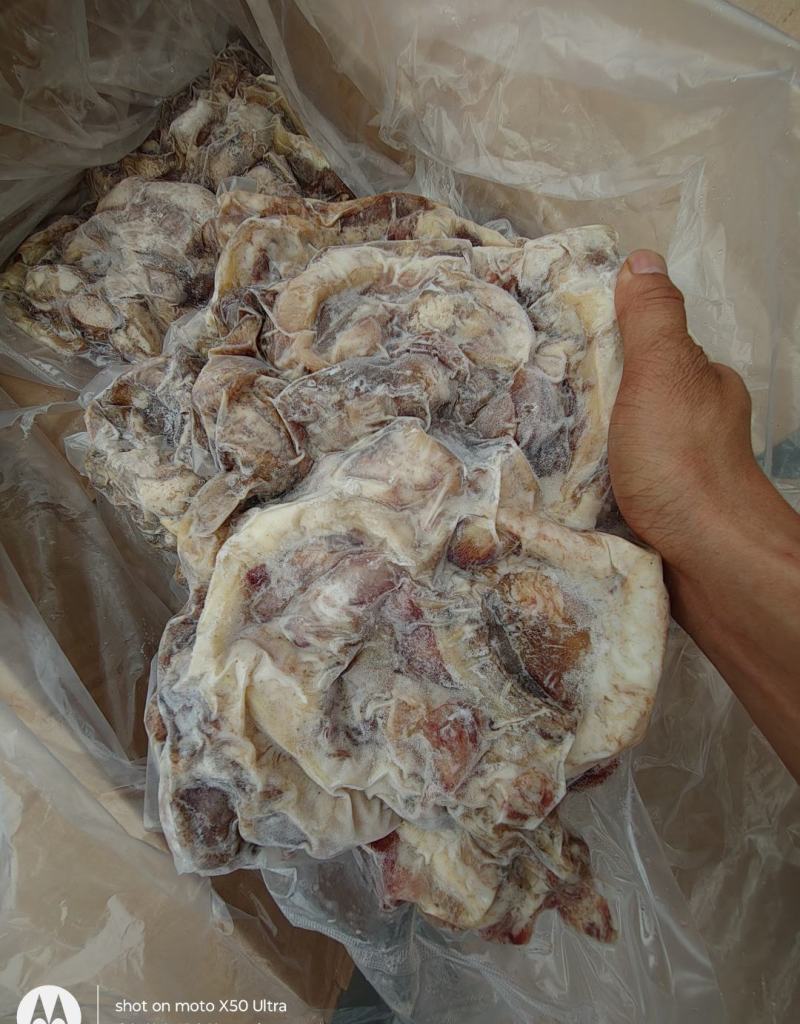 牛一根筋