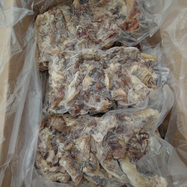 牛一根筋