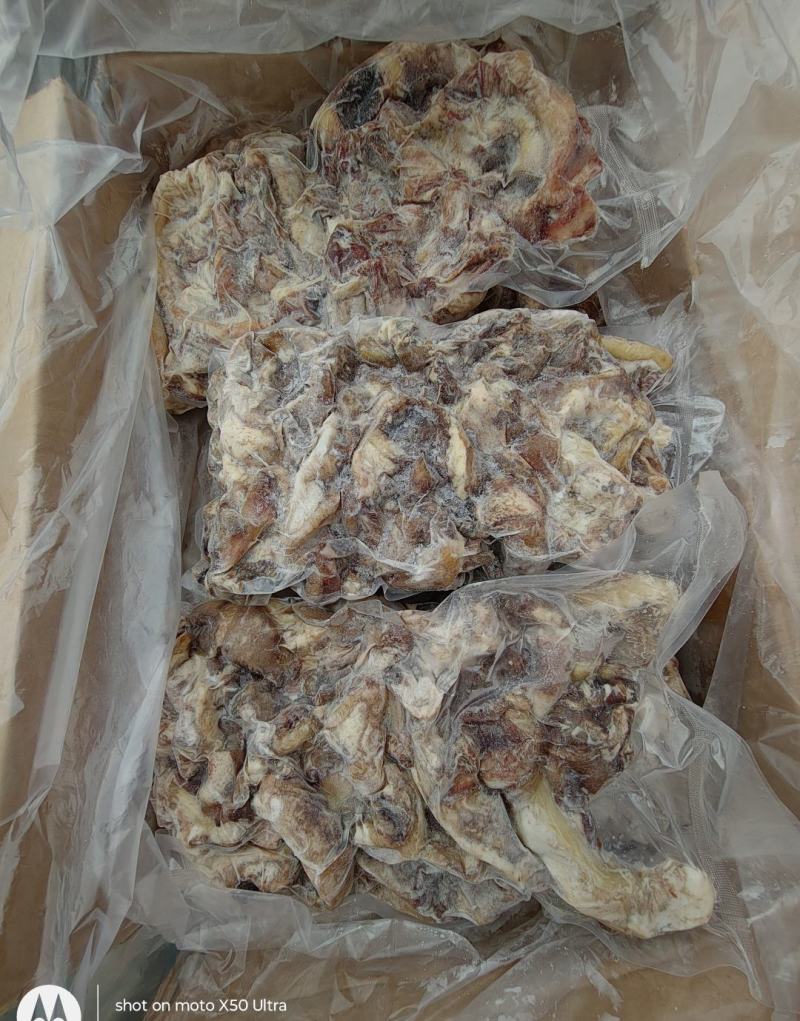 牛一根筋