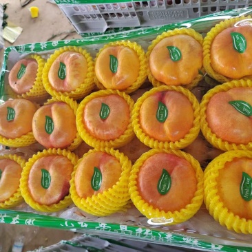 河北水蜜桃黄油蟠桃各种桃品种都有