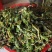 水洗煮蒸马齿苋