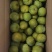青脆李一件代发，团购电商供应，品质保证