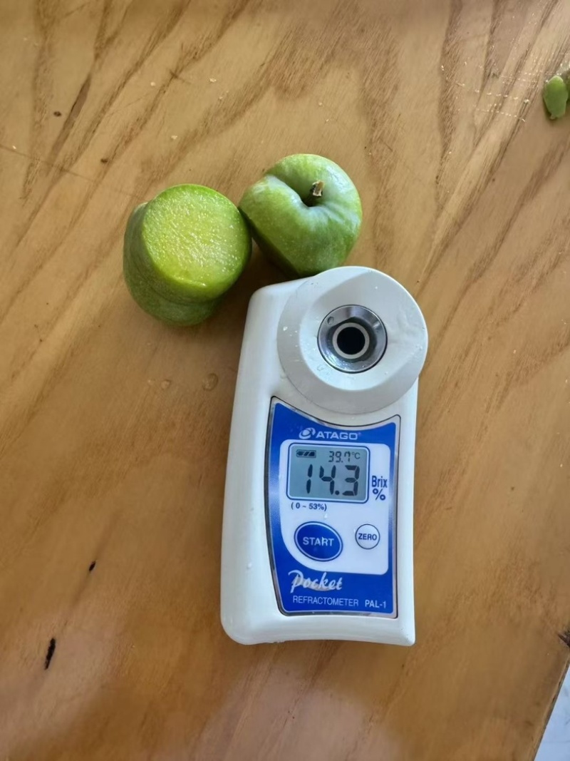 青脆李一件代发，团购电商供应，品质保证