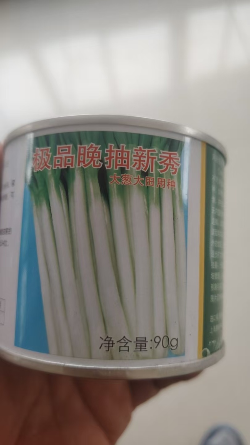 四季小葱种子质量有保障免费提供种植技术管理