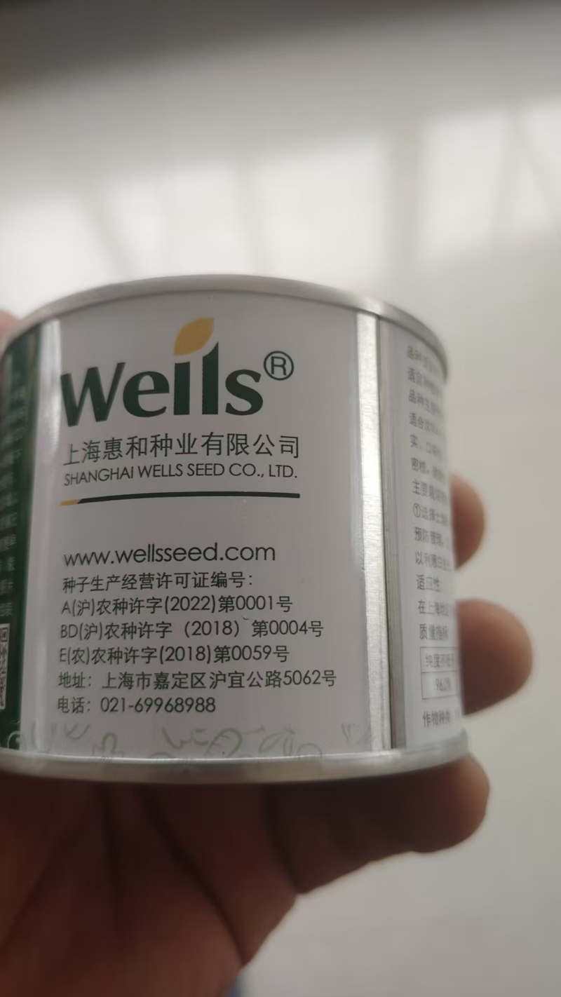 四季小葱种子质量有保障免费提供种植技术管理