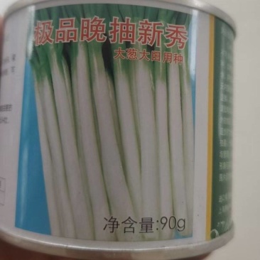 四季小葱种子质量有保障免费提供种植技术管理