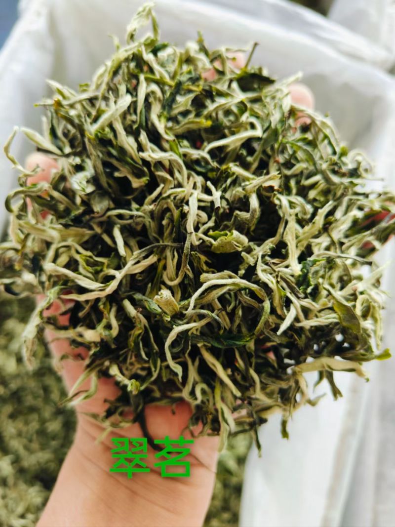 翠茗高山云雾绿茶罐罐茶专用茶叶产地直供全国发货