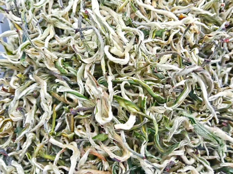 翠茗高山云雾绿茶罐罐茶专用茶叶产地直供全国发货