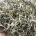翠茗高山云雾绿茶罐罐茶专用茶叶产地直供全国发货