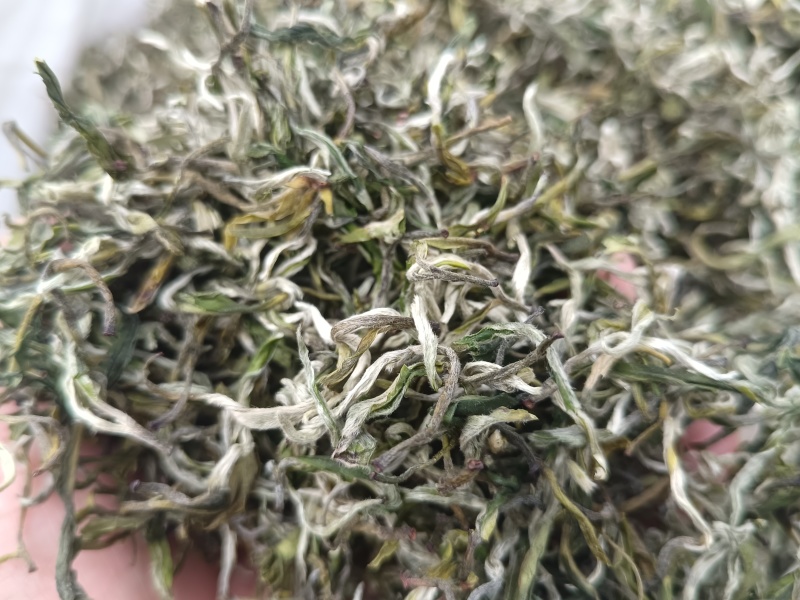翠茗高山云雾绿茶罐罐茶专用茶叶产地直供全国发货