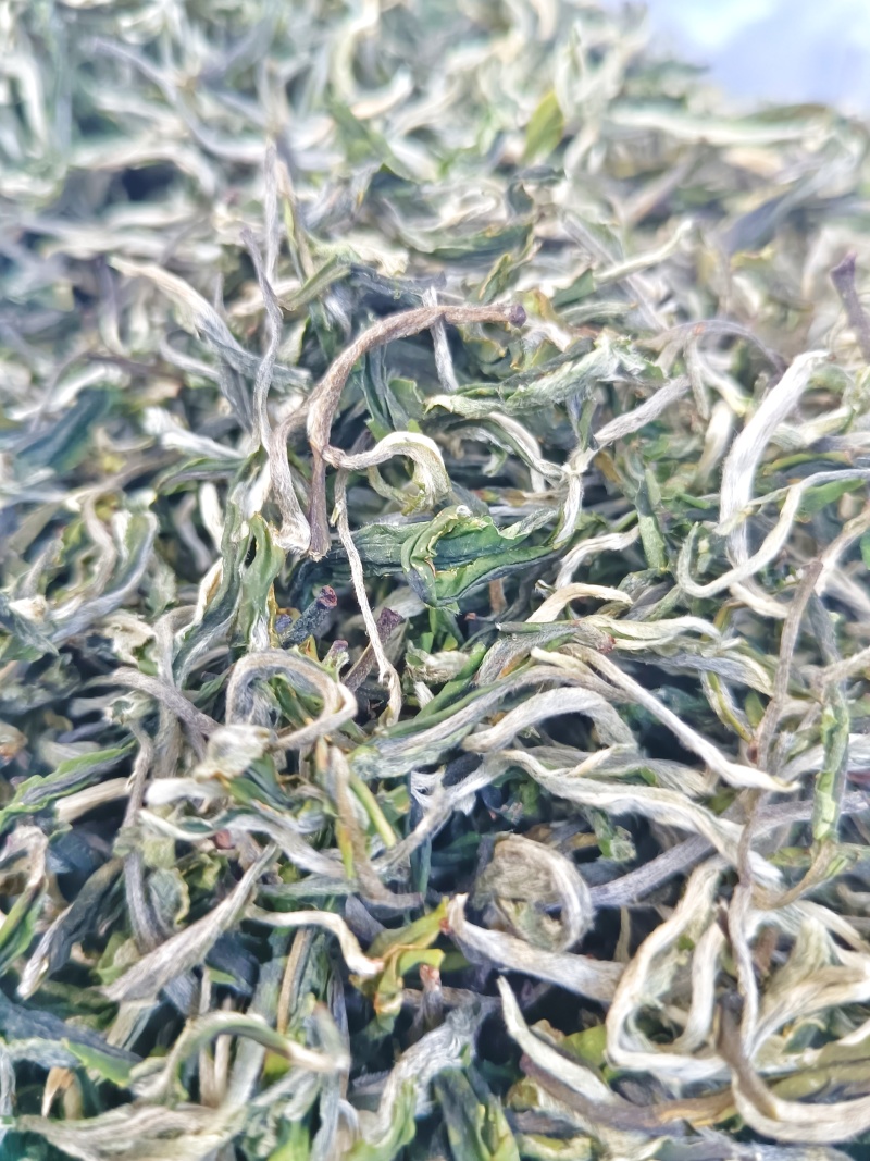 翠茗高山云雾绿茶罐罐茶专用茶叶产地直供全国发货