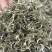 翠茗高山云雾绿茶罐罐茶专用茶叶产地直供全国发货