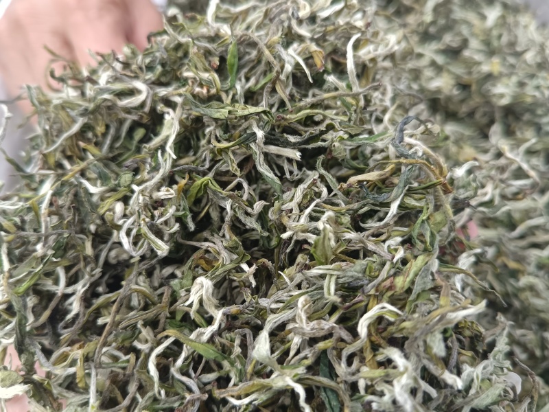 翠茗高山云雾绿茶罐罐茶专用茶叶产地直供全国发货