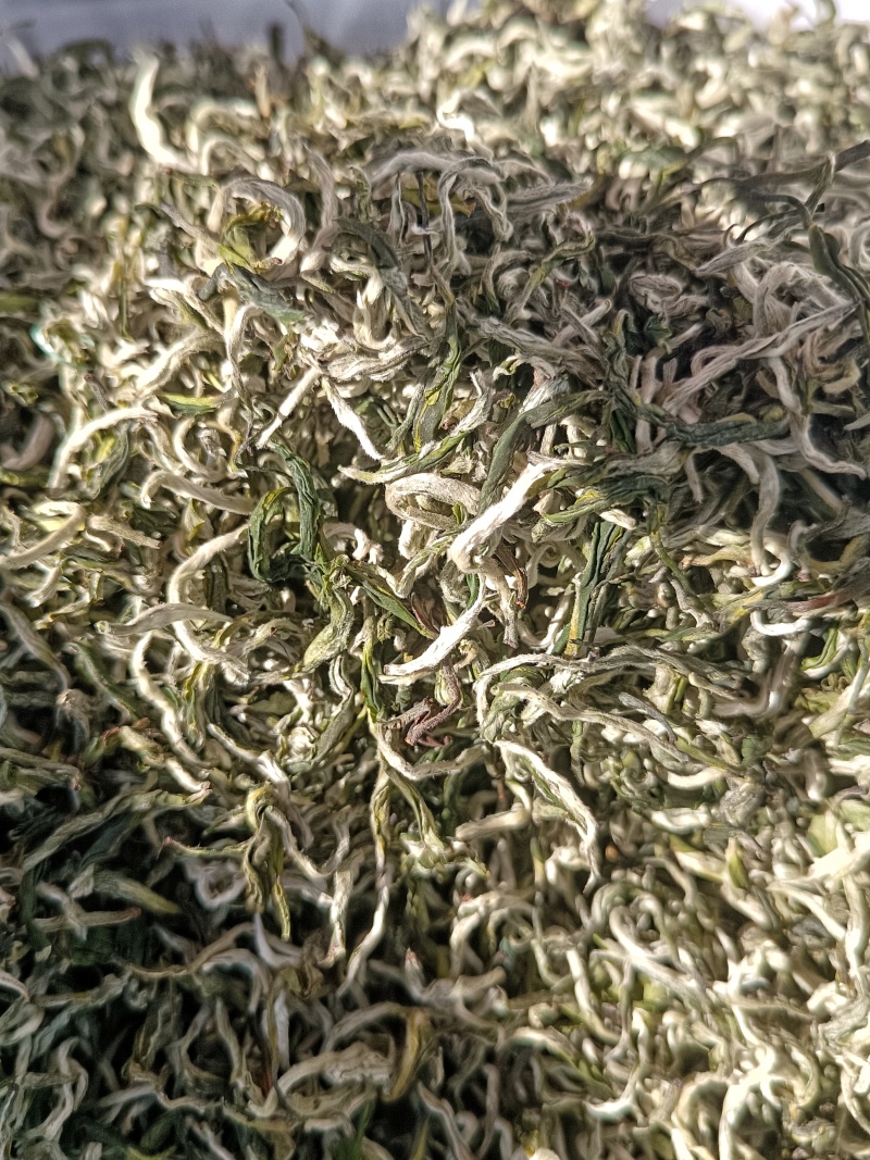 翠茗高山云雾绿茶罐罐茶专用茶叶产地直供全国发货
