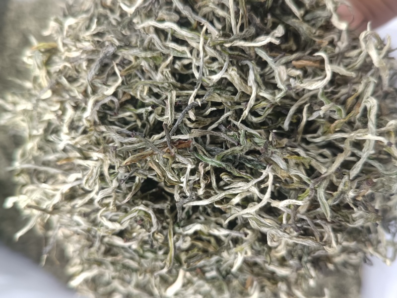 翠茗高山云雾绿茶罐罐茶专用茶叶产地直供全国发货