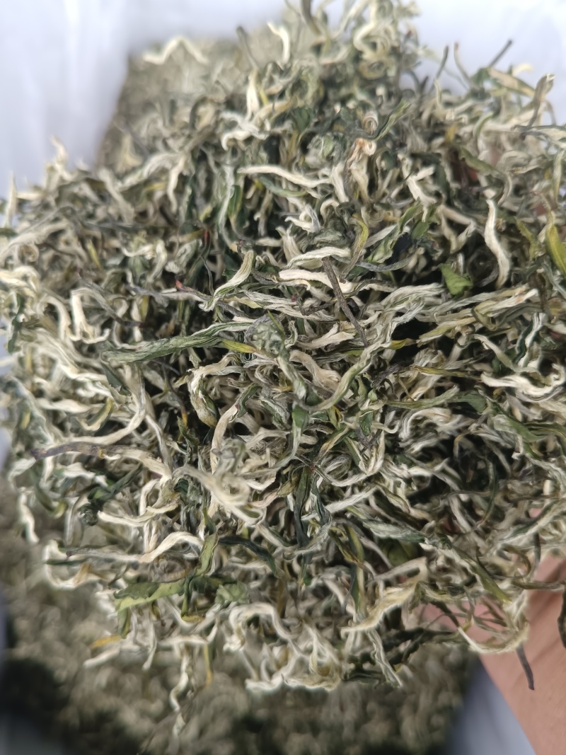 翠茗高山云雾绿茶罐罐茶专用茶叶产地直供全国发货
