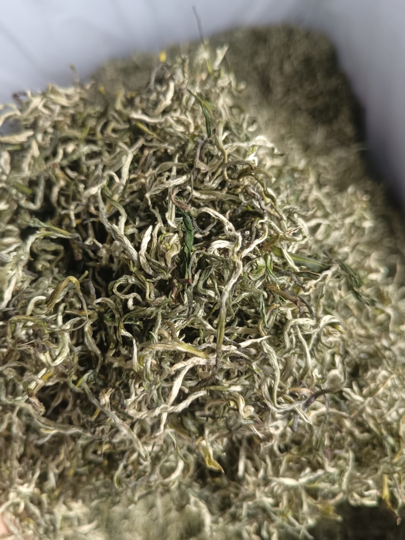 翠茗高山云雾绿茶罐罐茶专用茶叶产地直供全国发货