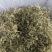 翠茗高山云雾绿茶罐罐茶专用茶叶产地直供全国发货