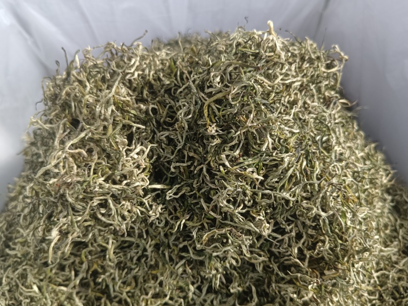 翠茗高山云雾绿茶罐罐茶专用茶叶产地直供全国发货