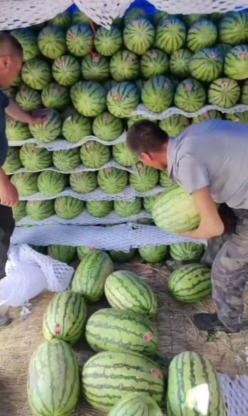 【热卖推荐】宁夏硒砂瓜石头瓜土地瓜产地直销量大从优