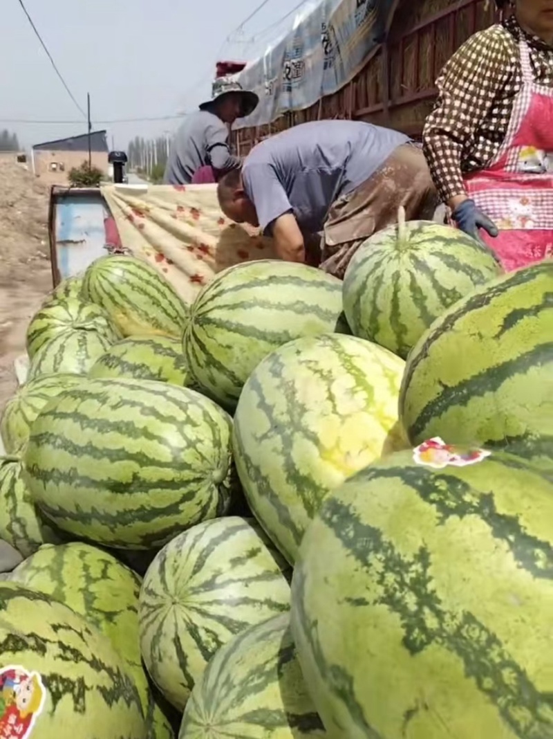 【热卖推荐】宁夏硒砂瓜石头瓜土地瓜产地直销量大从优