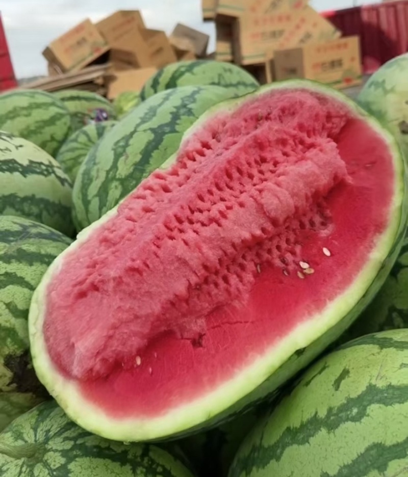 【热卖推荐】宁夏硒砂瓜石头瓜土地瓜产地直销量大从优