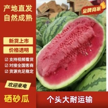 【热卖推荐】宁夏硒砂瓜石头瓜土地瓜产地直销量大从优
