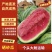 【热卖推荐】宁夏硒砂瓜石头瓜土地瓜产地直销量大从优