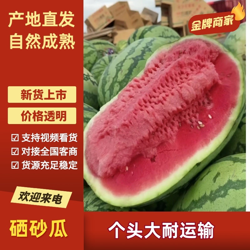【热卖推荐】宁夏硒砂瓜石头瓜土地瓜产地直销量大从优