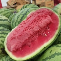 【实力推荐】宁夏硒砂瓜/石头瓜/土地瓜个大皮薄产地直销
