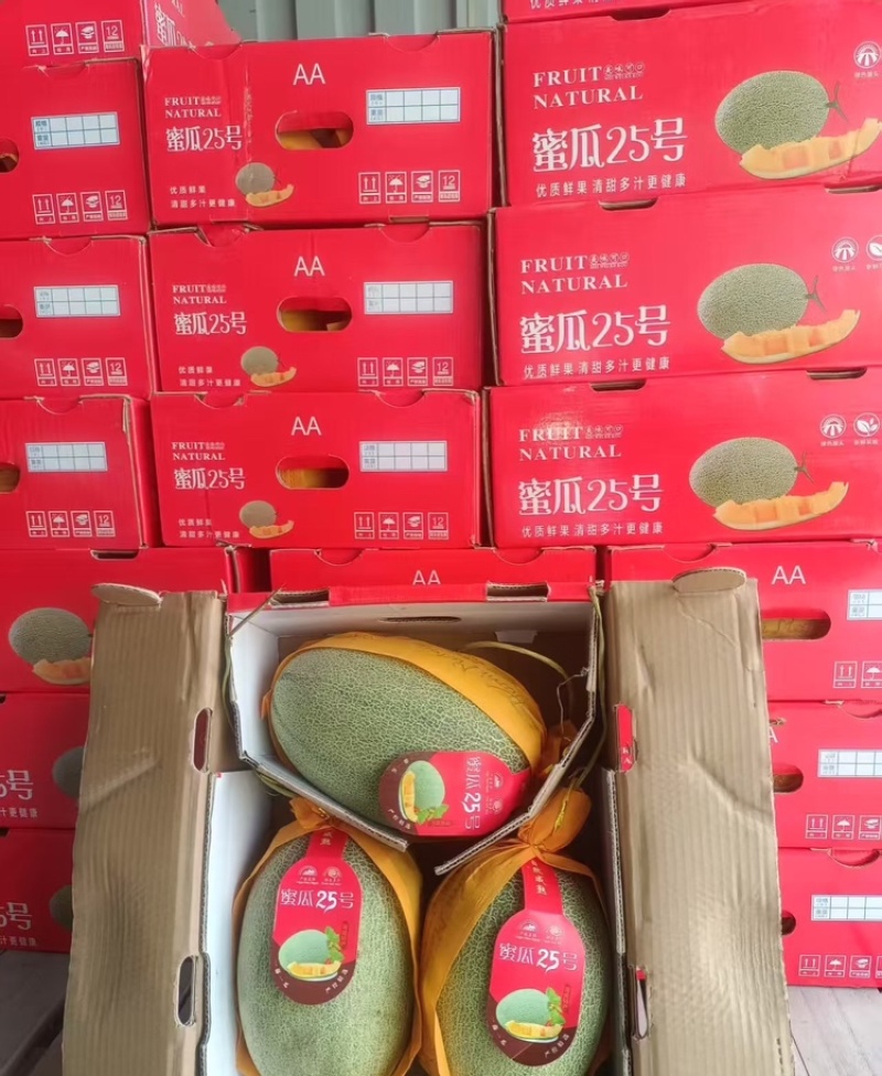 海南哈密瓜沙地晓蜜25哈密瓜皮薄多汁万亩基地持续供应