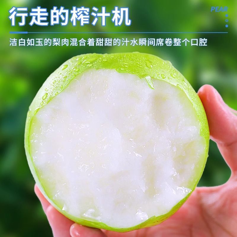 大巴山富硒青梨