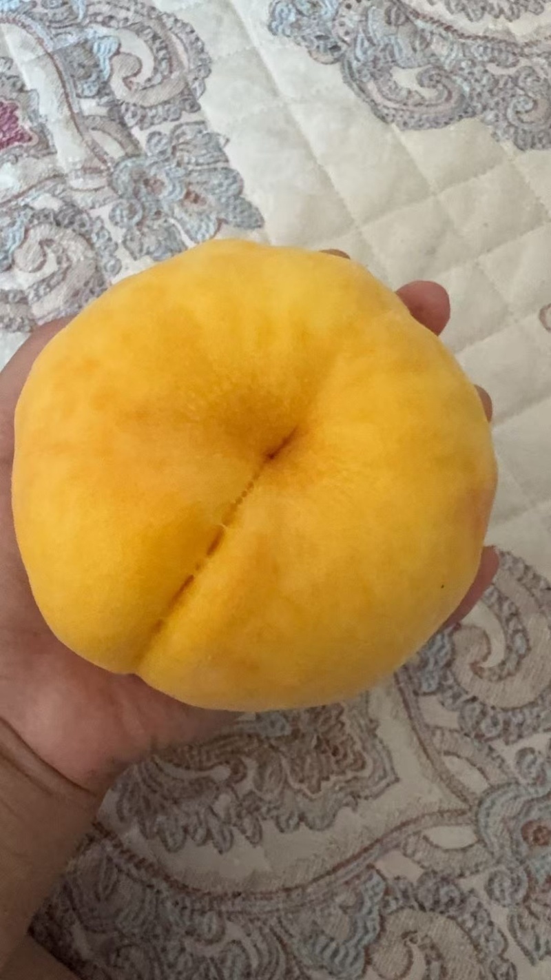 毛蟠桃，套袋不套袋都有，价格面议