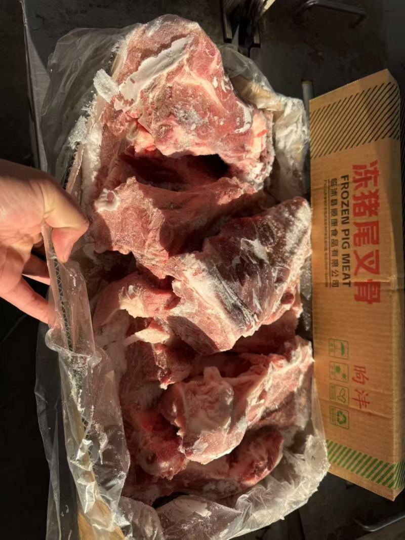 多肉尾叉骨