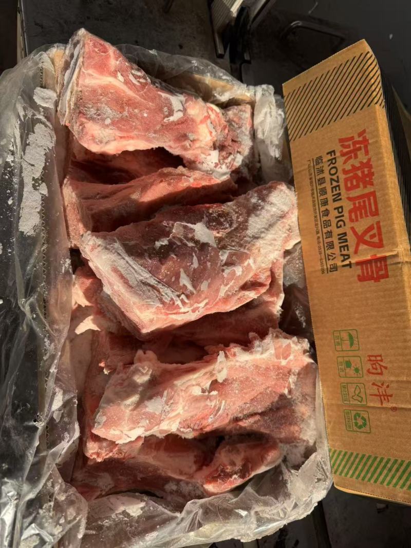 多肉尾叉骨