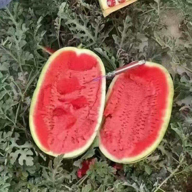 宁夏，硒砂瓜，石头瓜原产地发货一手货源批发品质保证