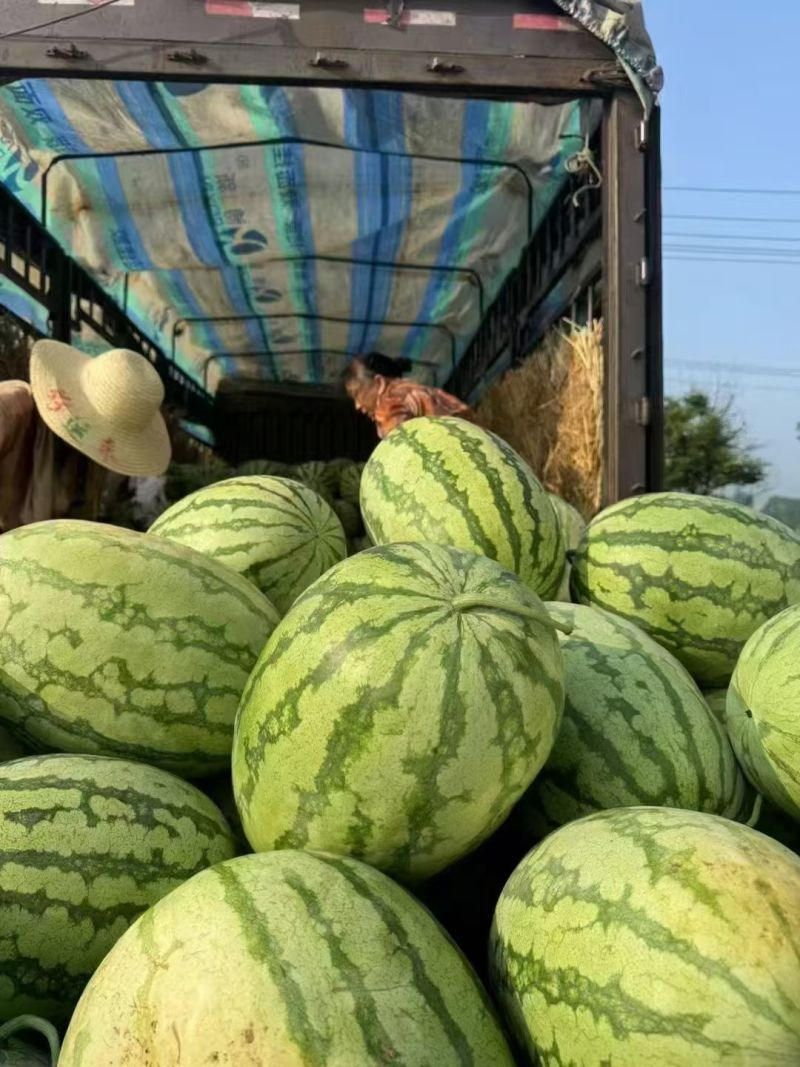 宁夏，硒砂瓜，石头瓜原产地发货一手货源批发品质保证