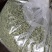 豆角颗粒干豆角段低温烘干/源头工厂/产地直发
