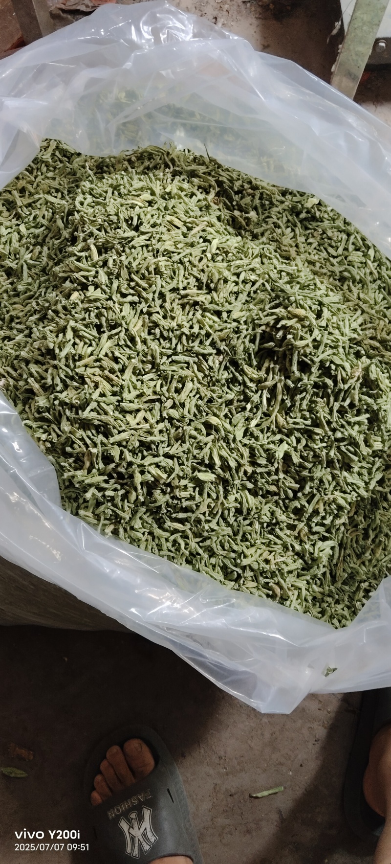 豆角颗粒干豆角段低温烘干/源头工厂/产地直发